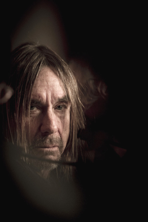 69e Festival de Cannes : Iggy Pop